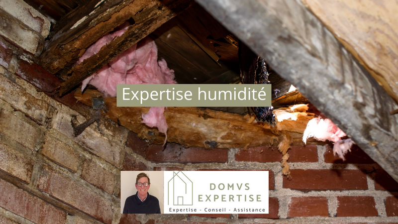 Expertise humidité à Aix en Provence - DOMUS Expertise